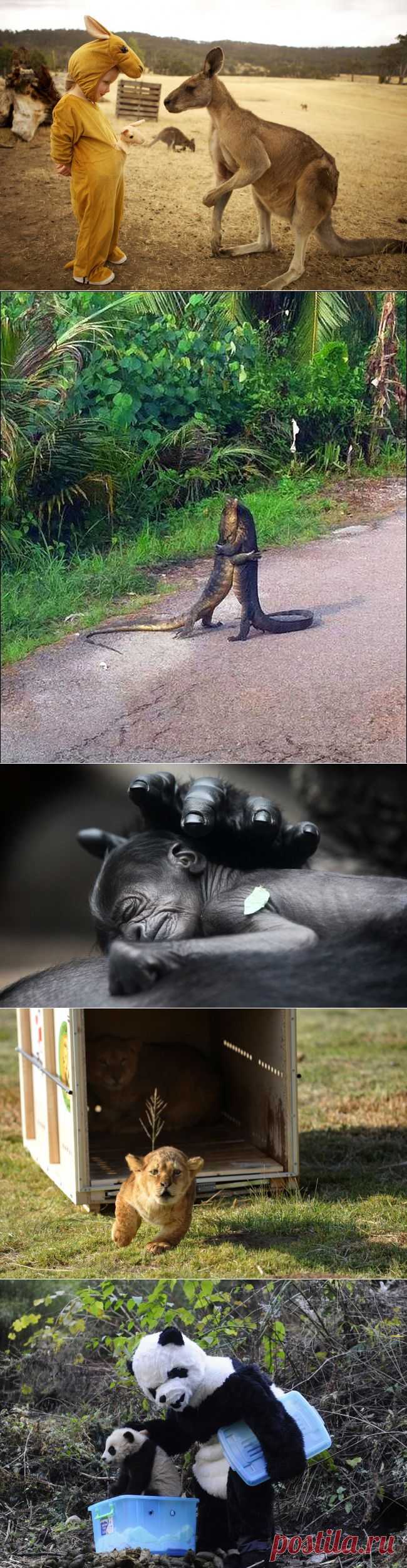 Больше, чем фото