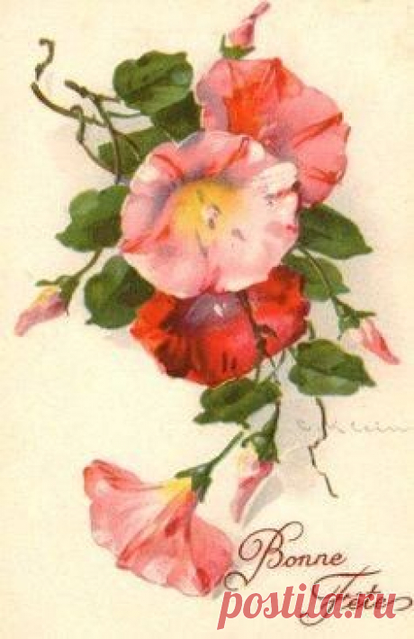 (300) Boas Festas. | I ♥ Vintage Christmas postcards