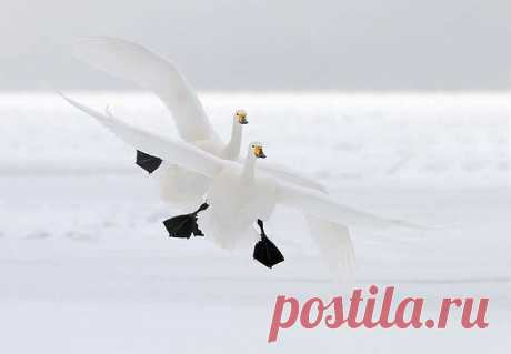 Мой Мир@Mail.Ru