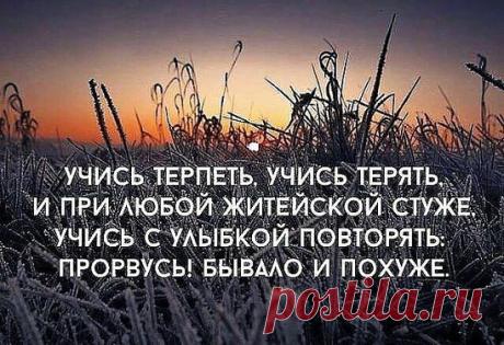 ЗДОРОВО СКАЗАНО !!!