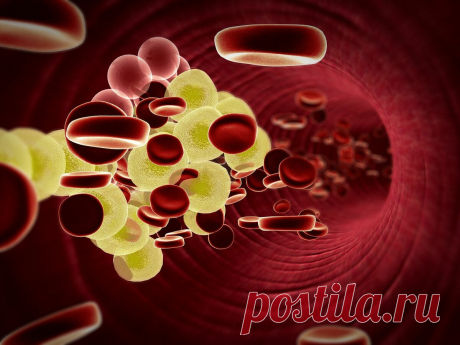 Каши, способствующие снижению холестерина и позволяющие печени восстановиться | InterCOR - Новости без политики | Яндекс Дзен