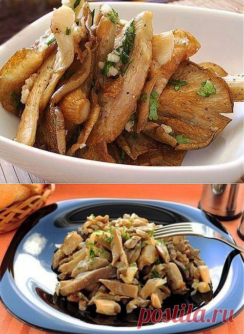 7 вкусных горячих вторых блюд из вешенок / Простые рецепты