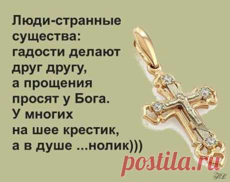 (50) Одноклассники