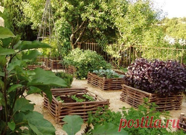 Плетень — украшение участка — 6 соток