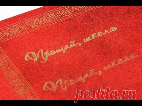 Международная социальная сеть