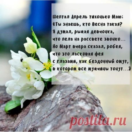Мир Ваших Возможностей