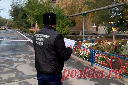 Раскрыты данные об убитых в Гае студентках. Погибшие в Гае (Оренбургская область) девушки приехали на учебу в местный медколледж из Башкирии, они хорошо учились, никаких претензий к ним со стороны преподавателей не было. Одна из троих была несовершеннолетней — ей было 17 лет. Они были студентками третьего курса, но учились в разных группах.