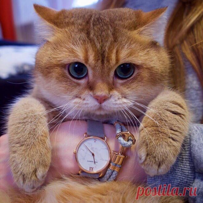 Мой Мир@Mail.Ru