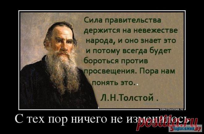 (11) Одноклассники