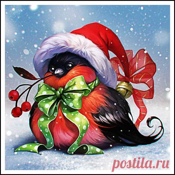 Новости
