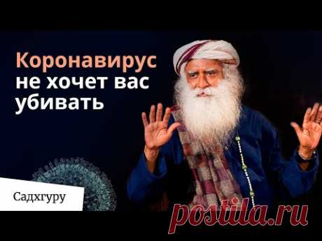 Коронавирус не хочет нас убивать | Садхгуру отвечает на критику