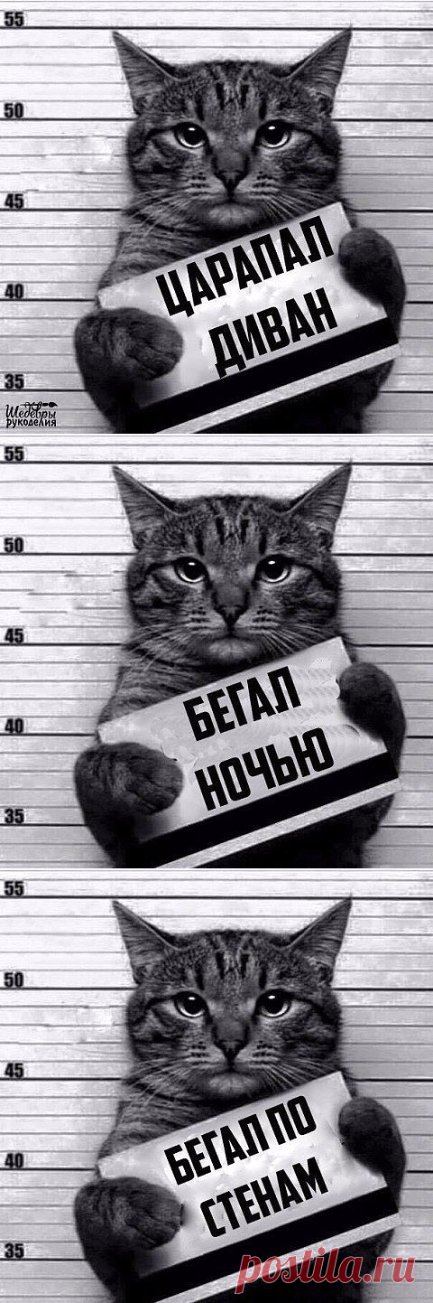 (72) Одноклассники