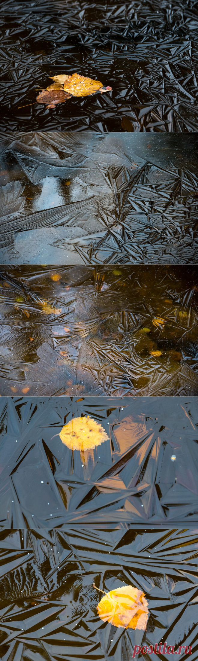 Необычное рядом | Мир Фотографии
