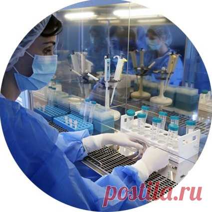 | VestiNewsRF.Ru