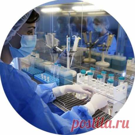 Критерии и требования к трансплантации стволовых клеток при лечении детского аутизма