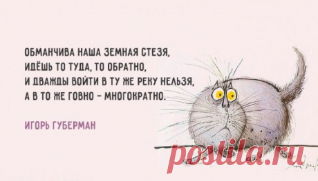 Лучшие «гарики» - жизненно и в точку