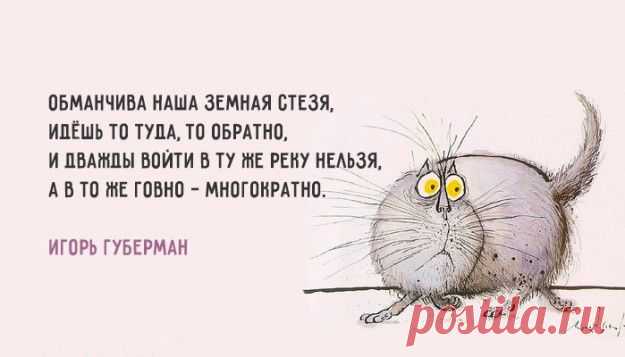 Лучшие «гарики» - жизненно и в точку