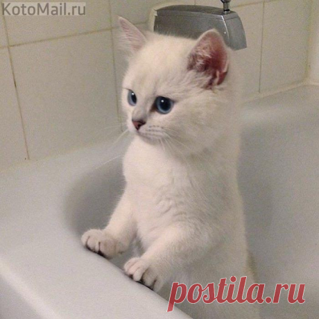 Я, конечно, могу и без воды умыться...