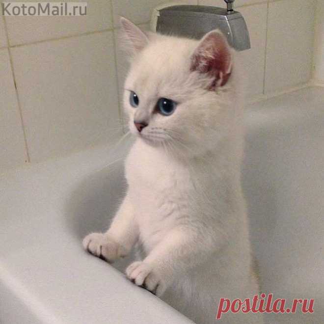 Я, конечно, могу и без воды умыться...