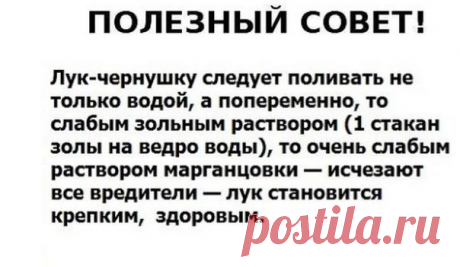 (41) Одноклассники