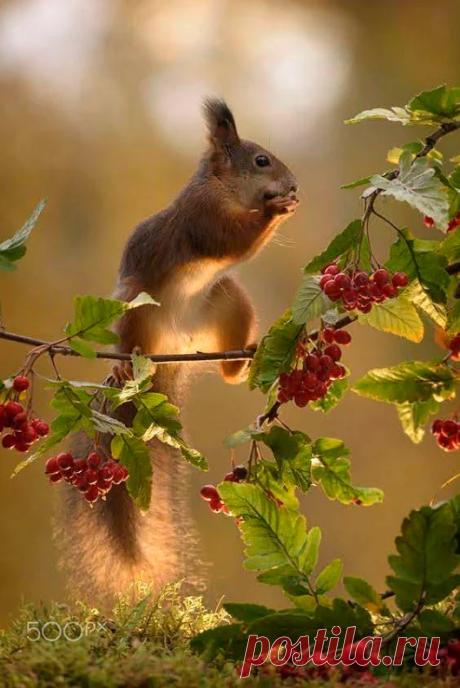 Елена Захарова - Google+