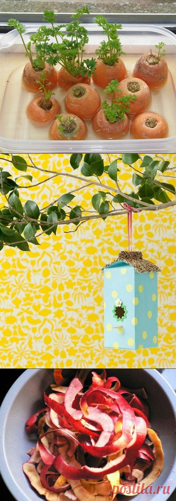 Кухонные остатки: как их использовать? — Залог красоты