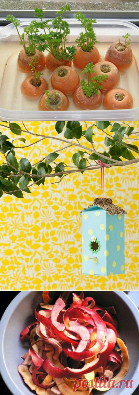 Кухонные остатки: как их использовать? — Залог красоты