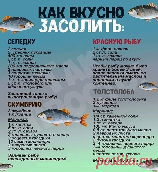 Полезная информация : как вкусно засолить рыбу .