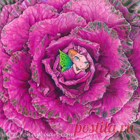 Cabbage Fairy Jan 2016 CPM Art Challenge Photo #1603   Photo by Photograph by: Sally Robertson - Copyright Released!   Challenge Name: "Ornamental Cabbage"   Artist Name: Jenny Luan Frye   Category: Advance    Size:8"x8" white stonehenge paper.   Media: some Prisma and mostly Faber Castell polychromos and some luminance and OMS  I also use white gel pen for few dots of fairy dust    Email: tsentsen@hotmail.com    you can see progress on www.facebook.com/JennyLuanart