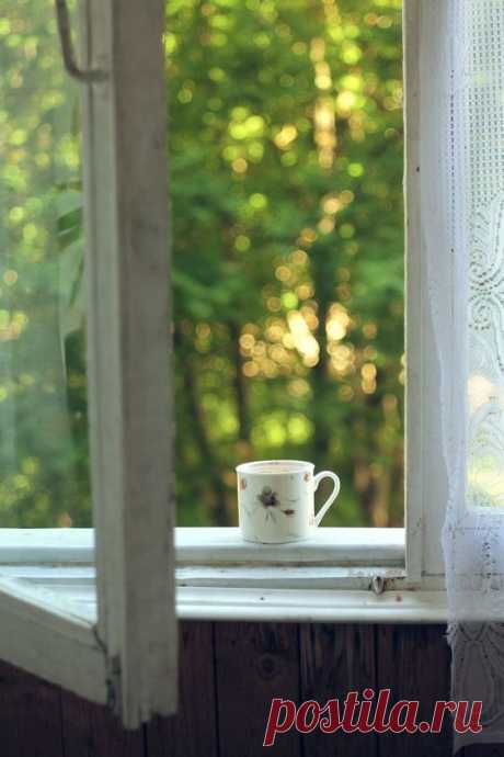 Как избавиться от негативной энергии дома: 9 полезных советов — INMYROOM