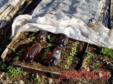 Полезности для дачи