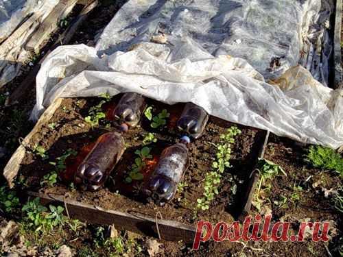 Полезности для дачи