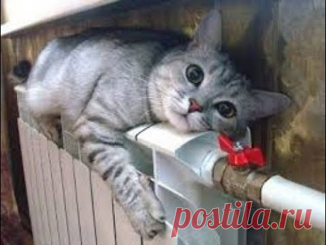 Монтаж радиаторов отопления в квартире. Центральное отопление.