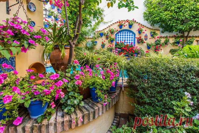 патио в кордове - Поиск в Google