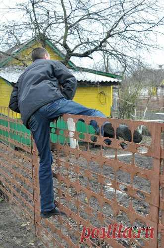 Как сделать сигнализацию для дачи своими руками. Видео | Домохозяйка