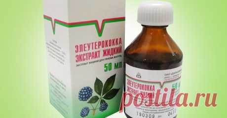 Экстракт элеутерококка