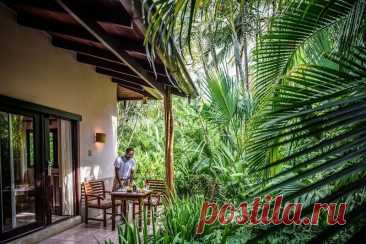 Роскошные эко-отели в различных странах | Журнал "JK" Джей Кей Cala Luna Boutique Hotel & Villas, Коста-Рика Виллы, построенные из древесины местных пород, стоят в окружении тропических растений. Гости имеют возможность наблюдать за жизнью обитателей джунглей — птиц, игуан, обезьян 2. Copal Tree Lodge, Белиз Расположен в горах Майя в Пунта-Горде и окружен девственным тропическим лесом. 3. Nimmo Bay Wilderness, Британская Колумбия На окруженный горами и водопадами