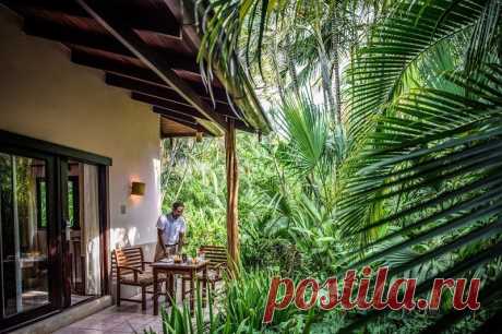 Роскошные эко-отели в различных странах | Журнал "JK" Джей Кей Cala Luna Boutique Hotel & Villas, Коста-Рика Виллы, построенные из древесины местных пород, стоят в окружении тропических растений. Гости имеют возможность наблюдать за жизнью обитателей джунглей — птиц, игуан, обезьян 2. Copal Tree Lodge, Белиз Расположен в горах Майя в Пунта-Горде и окружен девственным тропическим лесом. 3. Nimmo Bay Wilderness, Британская Колумбия На окруженный горами и водопадами