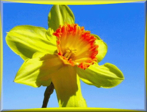 А ЭТО МИНИ ФИЛЬМ,ДЛЯ ВАС,РАССЛАБЛЯЙТЕСЬ! ​http://s02.yapfiles.ru/files/1103808/elitefonmoya_fleshka2.swf