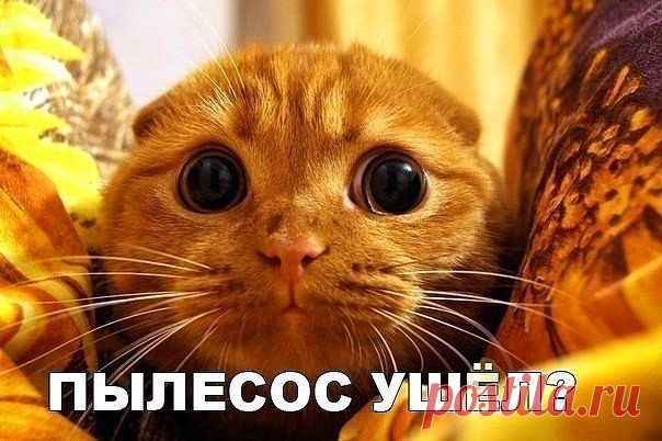Медики лечат ПОЗИТИВОМ
Татьяна Н