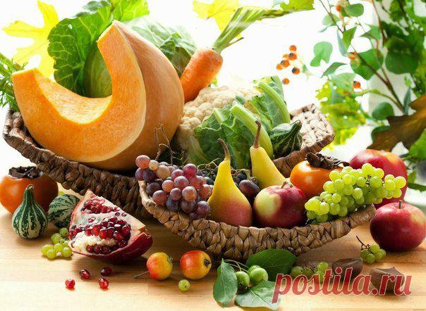 КАК ОРГАНИЗМ САМОВОССТАНАВЛИВАЕТСЯ НА СЫРОЕДЕНИИ? — Диеты со всего света