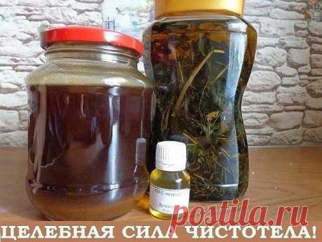 Целебная сила чистотела СОВЕТ 1 : У чистотела есть одна очень интересная особенность. Он сразу отыскивает корень болезни. Если сок или порошок поместить на биологически активную