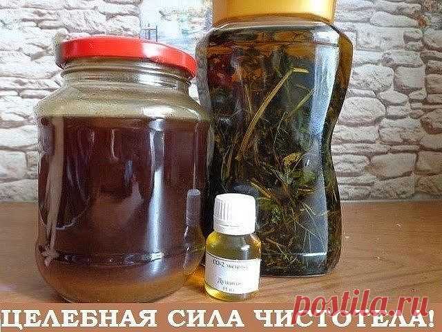 Целебная сила чистотела СОВЕТ 1 : У чистотела есть одна очень интересная особенность. Он сразу отыскивает корень болезни. Если сок или порошок поместить на биологически активную