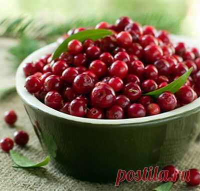 Настойка на клюкве: простой рецепт вкусного напитка :: SYL.ru