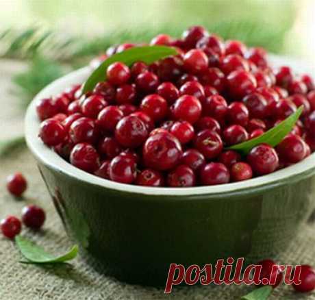 Настойка на клюкве: простой рецепт вкусного напитка :: SYL.ru