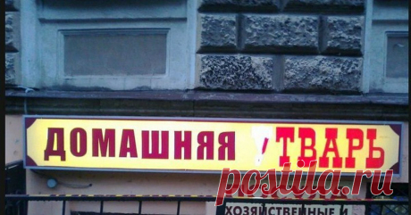 Кто придумывает такие СМЕШНЫЕ двусмысленные НАЗВАНИЯ товарам? Анекдотов не надо, в мемы уходят | Призма жизни | Дзен