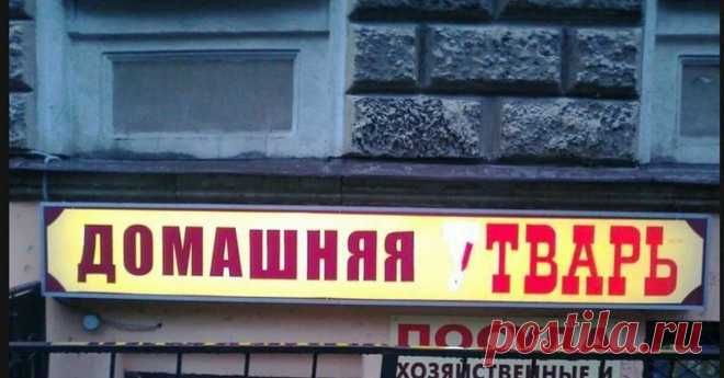 Кто придумывает такие СМЕШНЫЕ двусмысленные НАЗВАНИЯ товарам? Анекдотов не надо, в мемы уходят | Призма жизни | Дзен