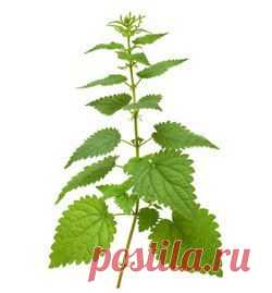 Новини