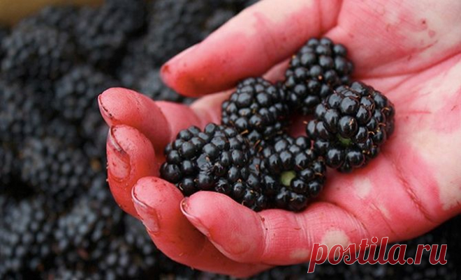 Скрытый резерв: лимон