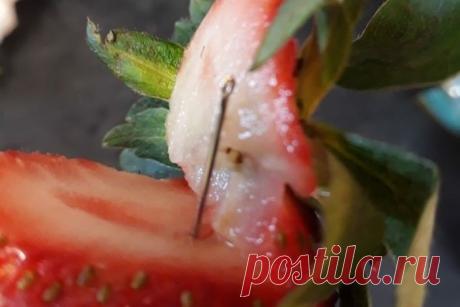 В Австралии полиция задержала "шутника", который подкладывал швейные иглы в клубнику | Общество